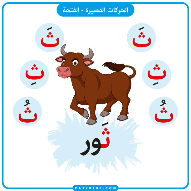 The Arabic letter Tha (ث)