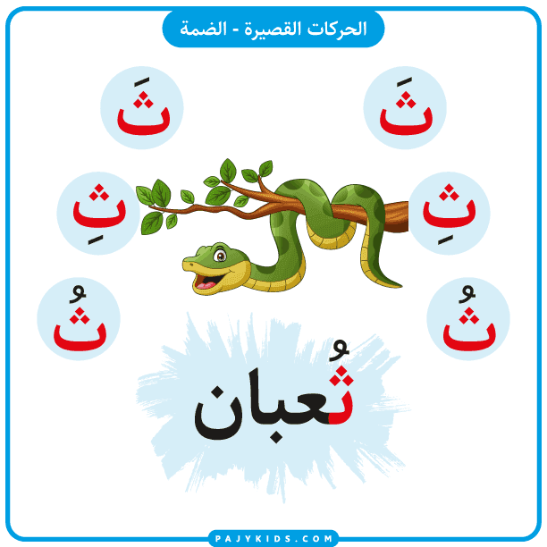 the arabic letter tha with ḍamma