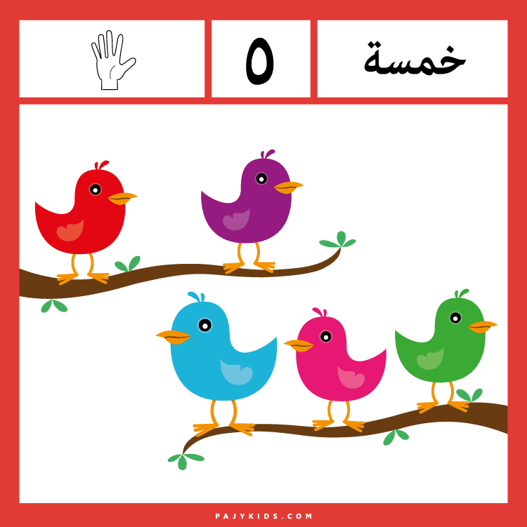 Hands-On Learning with Arabic Numbers for Kids