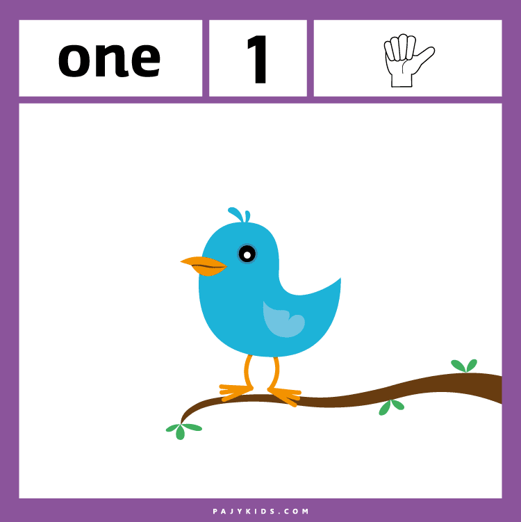 Ordinal Numbers Flashcards for Preschoolers