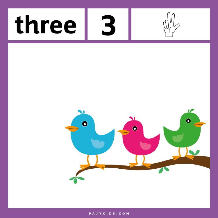 Preschool Learning: Mastering Numbers with Ordinal Numbers Flashcards