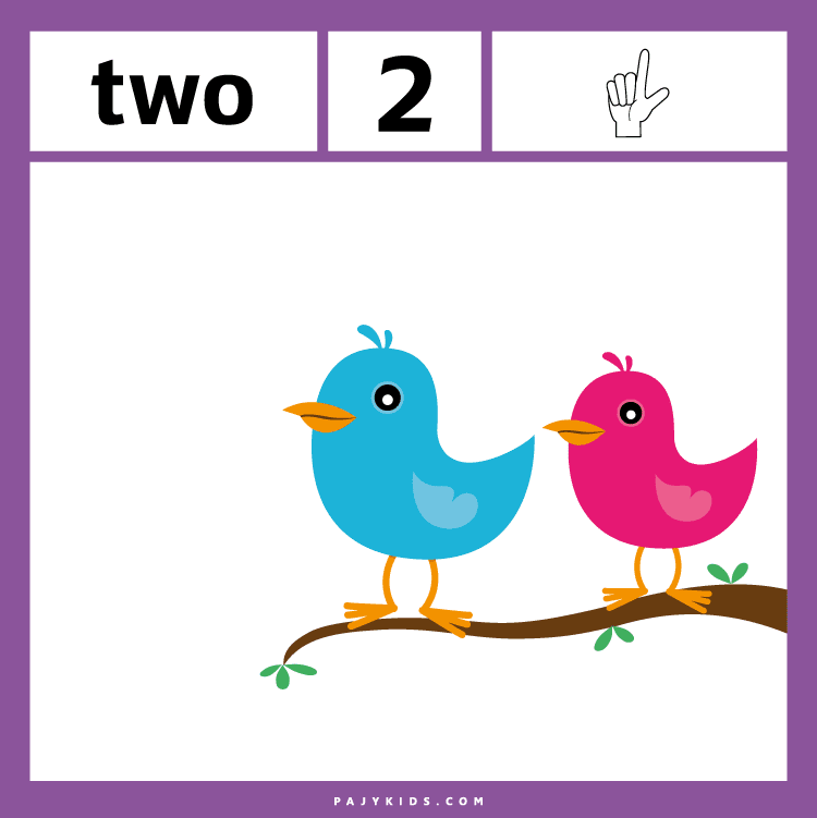 Teaching 1st to 5th with Ordinal Numbers Flashcards