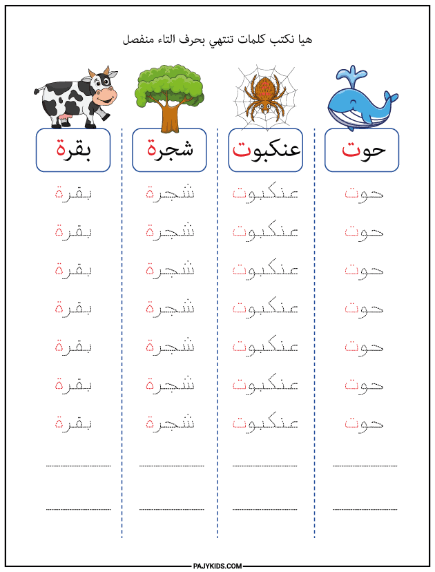 The Final Isolated Shape: ت