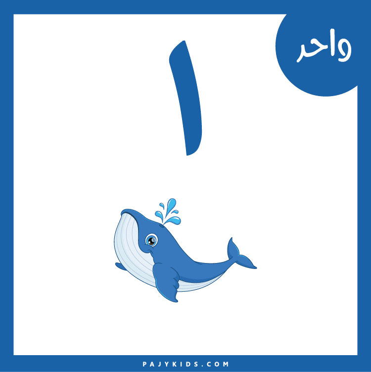 الارقام كبوابة لتعلم الرياضيات