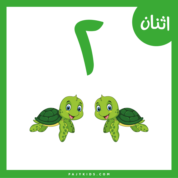 بطاقات الارقام كوسيلة بصرية جذابة
