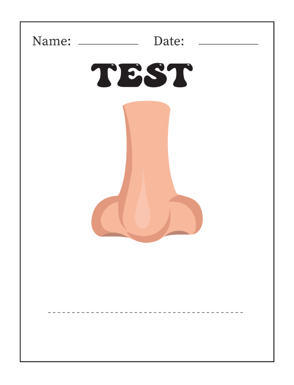 Human body nose function explained to kids