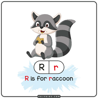 Letter R Flashcard: R is for Raccoon