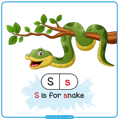 Letter S Flashcard: S is for Snake