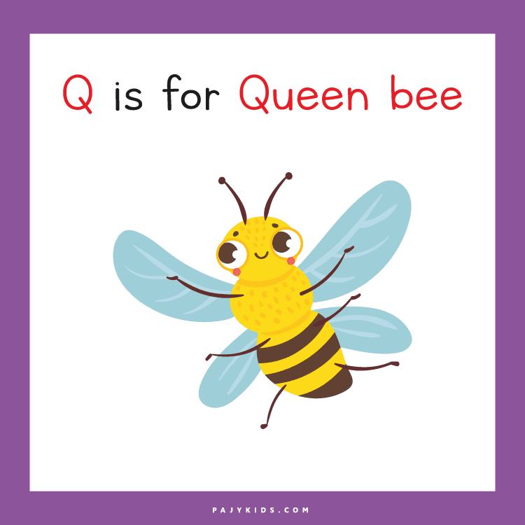 Letter q Card Activity for Letter Recognition and Sound Awareness