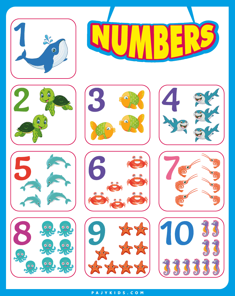 Why Posters Are Effective to Learn Numbers in English