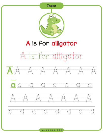 Writing Practice: Big and Small Letter A with the Word "Alligator"