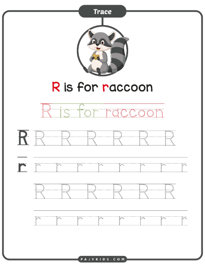 تدريب كتابة عملي لحرف R وكلمة Raccoon