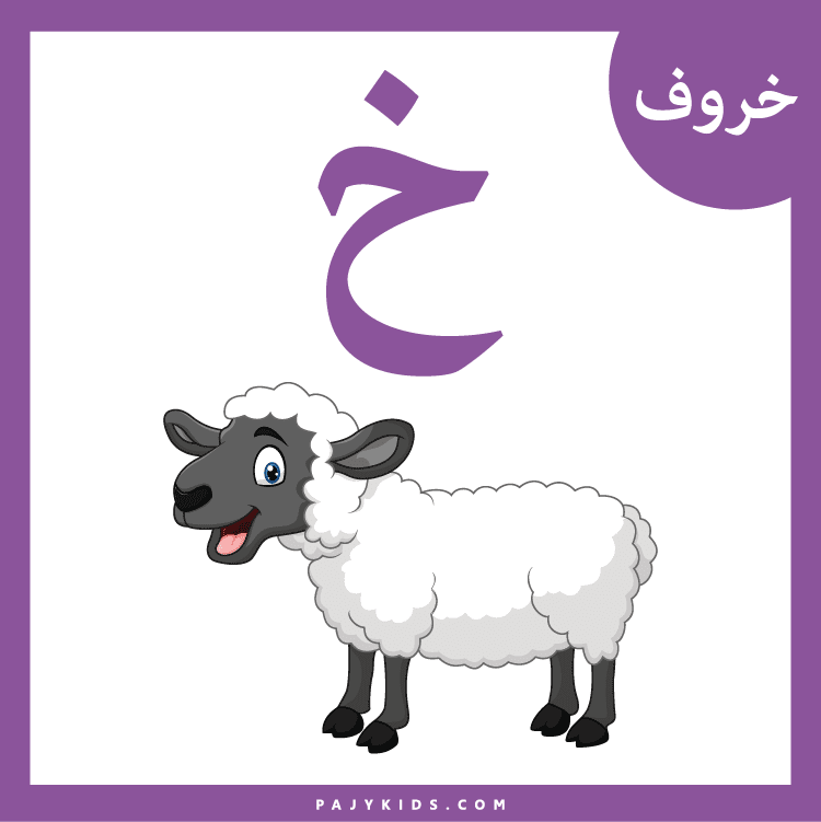 دور الأهل في تعزيز تعلم الحروف الهجائية باستخدام البطاقات
