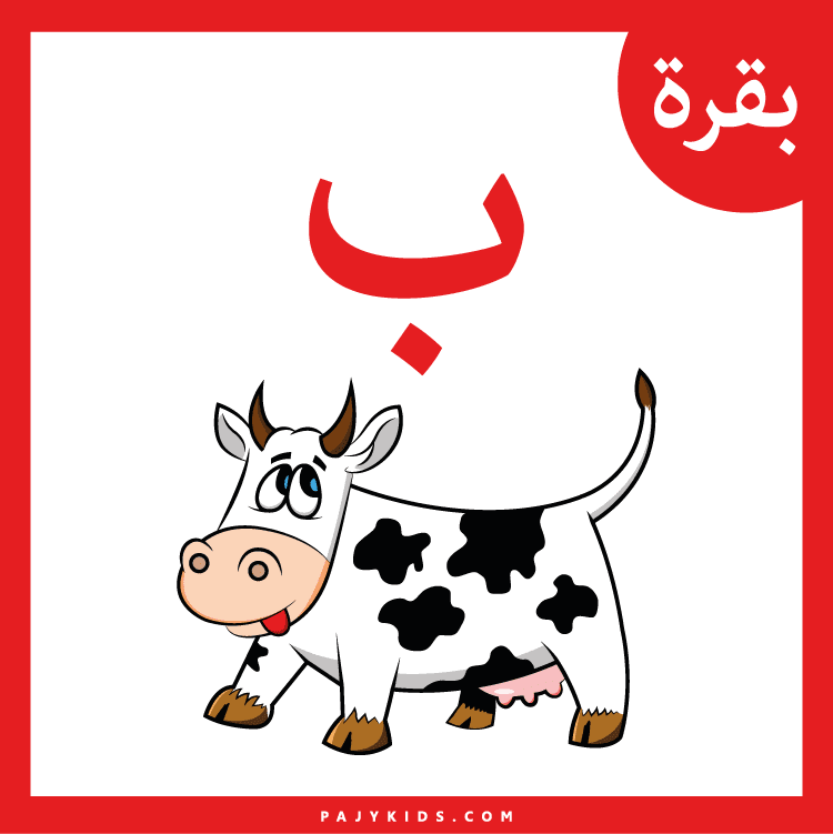 كيفية اختيار بطاقات الحروف الهجائية المناسبة