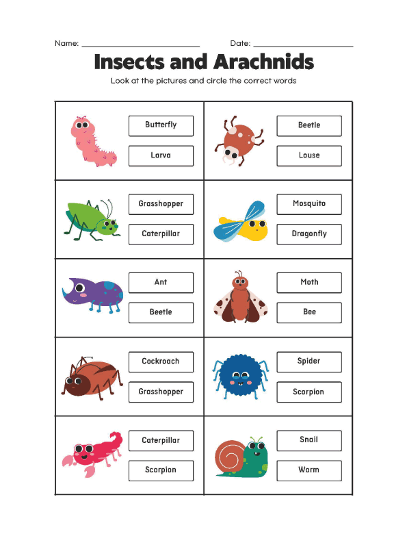 Earth Day Worksheets - Insects and Arachnidsand Nature