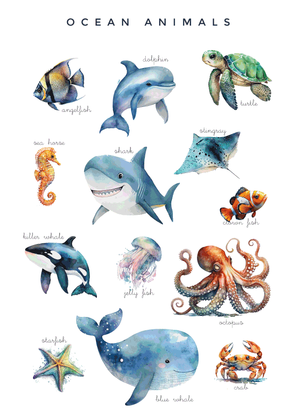Exploring Sea Animals: A Visual Guide for Young Learners