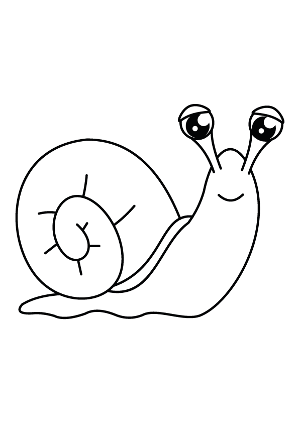 Silly Snail: A Printable Coloring Pages to Explore Nature