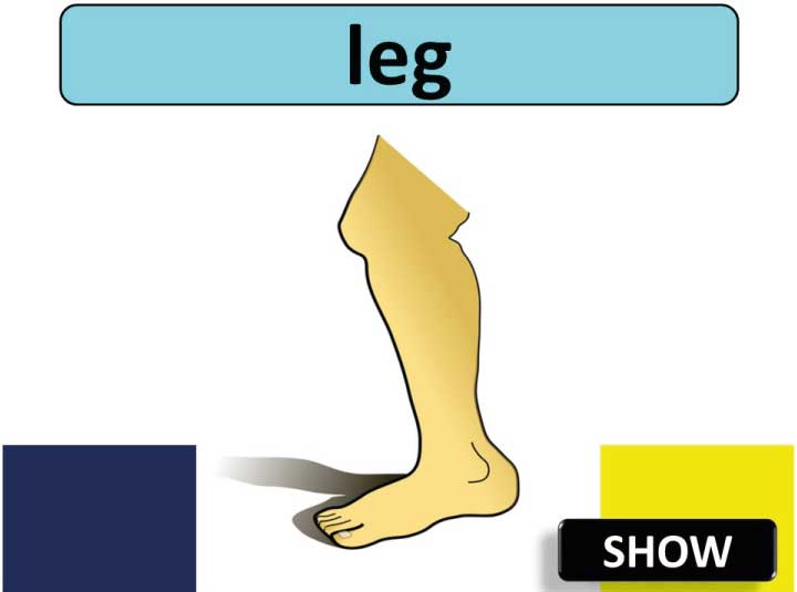 أسئلة وأجوبة عن برنامج البوربوينت pdf كأداة تعليمية بسيطة وفعّالة