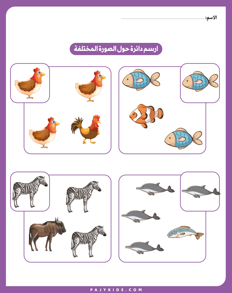 انشطة للاطفال - الاختلاف أو التشابه