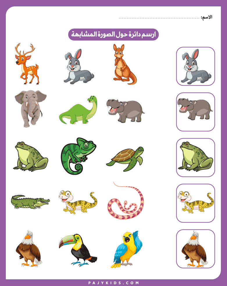 Activities for Finding Similarities