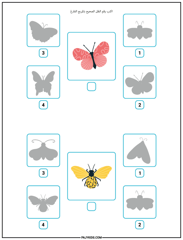 Cognitive Skills Activities for Kids - The Importance of Visual and Spatial Cognitive Skills Activities for Kids