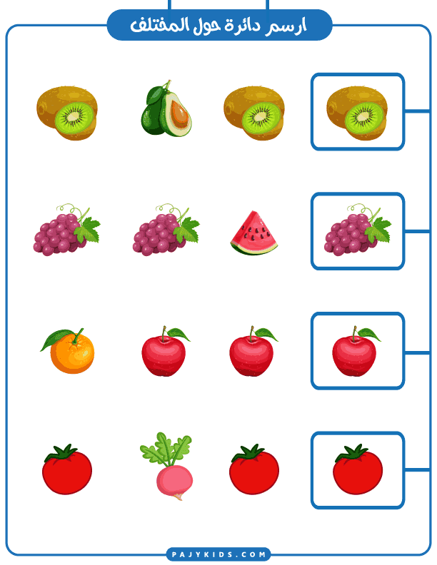 Developing Cognitive Skills by Identifying Visual Differences for Kids