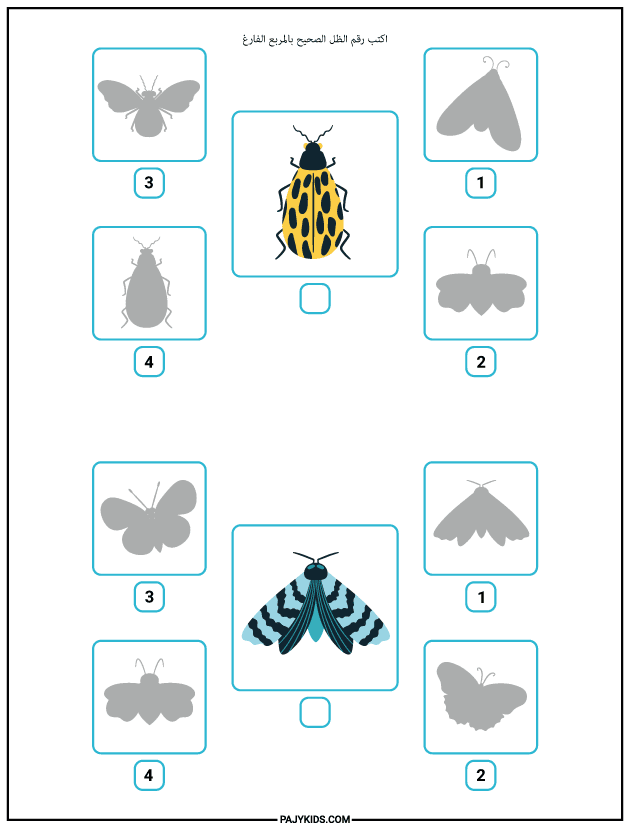 Cognitive Skills Activities for Kids - Developing Perceptual Skills Using Worksheets