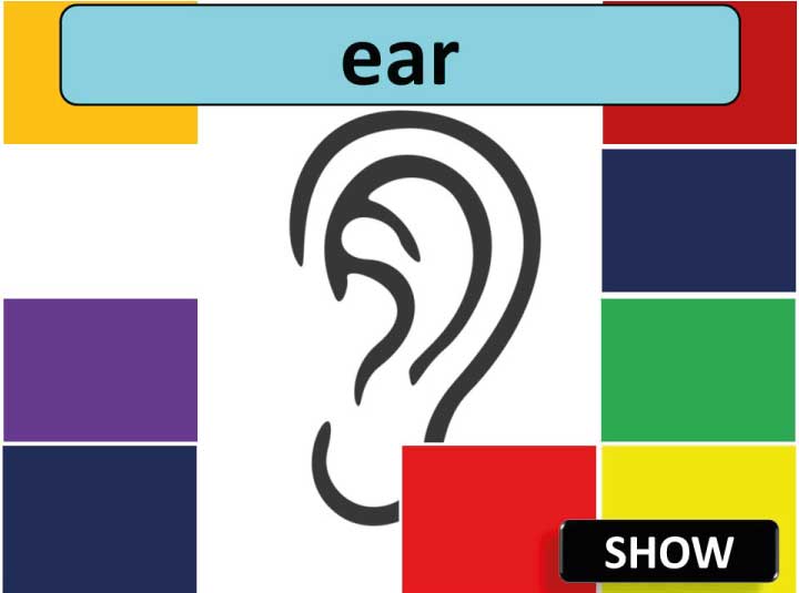 Free Download PPT for Kindergarten Suitable for Home and School