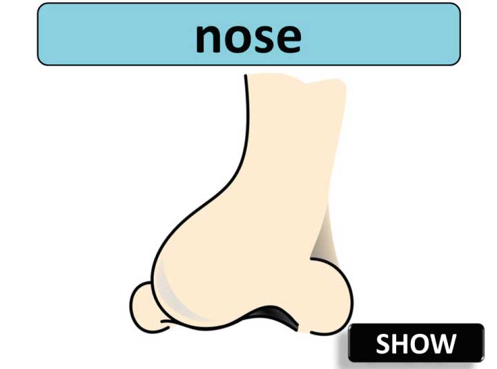 Free Download PPT for Kindergarten That Builds Vocabulary