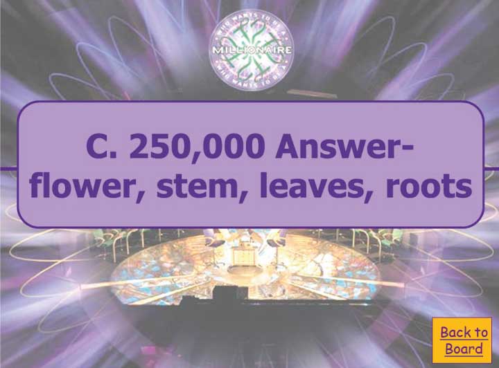 PowerPoint Presentation Templates Suitable for Both Classroom and Online Learning