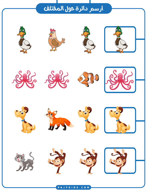 The Educational Importance of Visual Differences for Kids Activities in Kindergarten