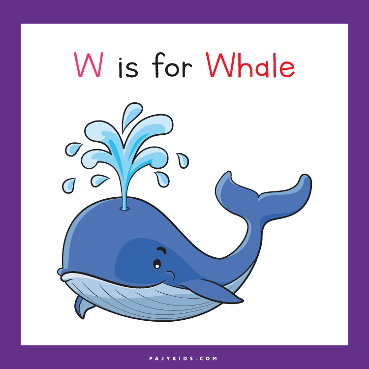 letter w worksheet - W Is for Whale Alphabet Introduction
