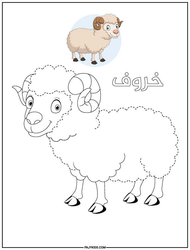 أنشطة تعليمية للاطفال 5 سنوات - ورقة عمل تتبع شكل الخروف