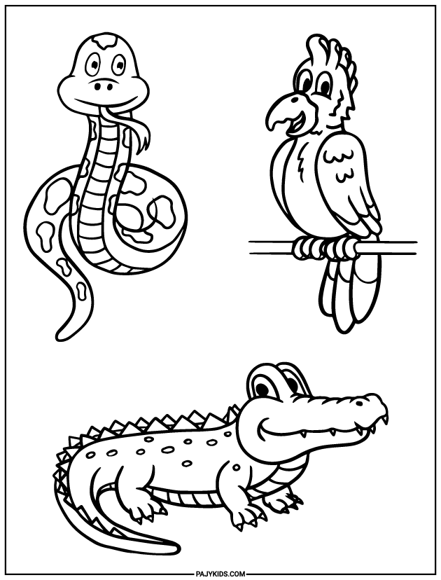 أوراق التلوين - الحيوانات - التعرف على الكائنات الحية