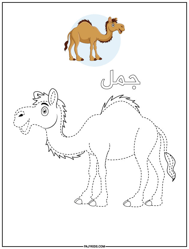 انشطه للاطفال بالمنزل - ورقة عمل تتبع الجمل