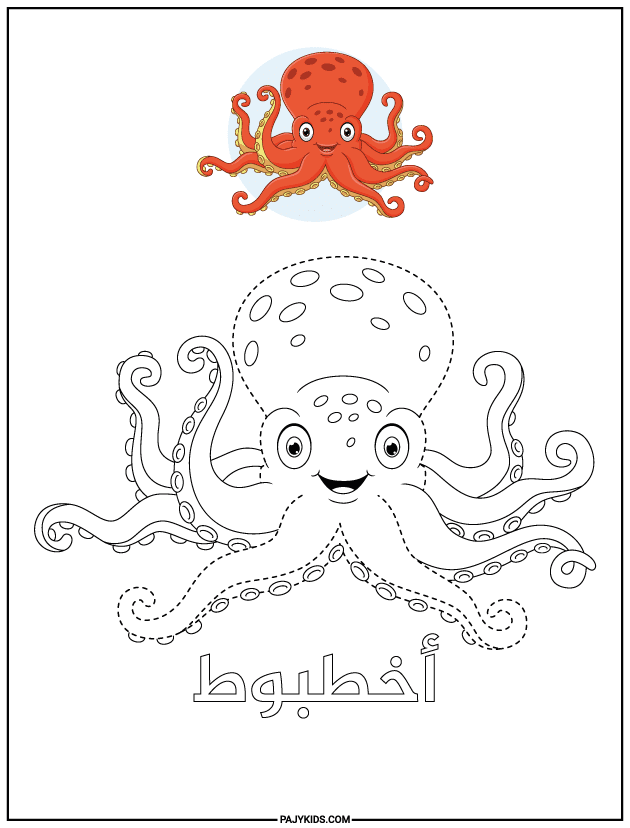 تنمية مهارات - ورقة عمل تتبع الأخطبوط