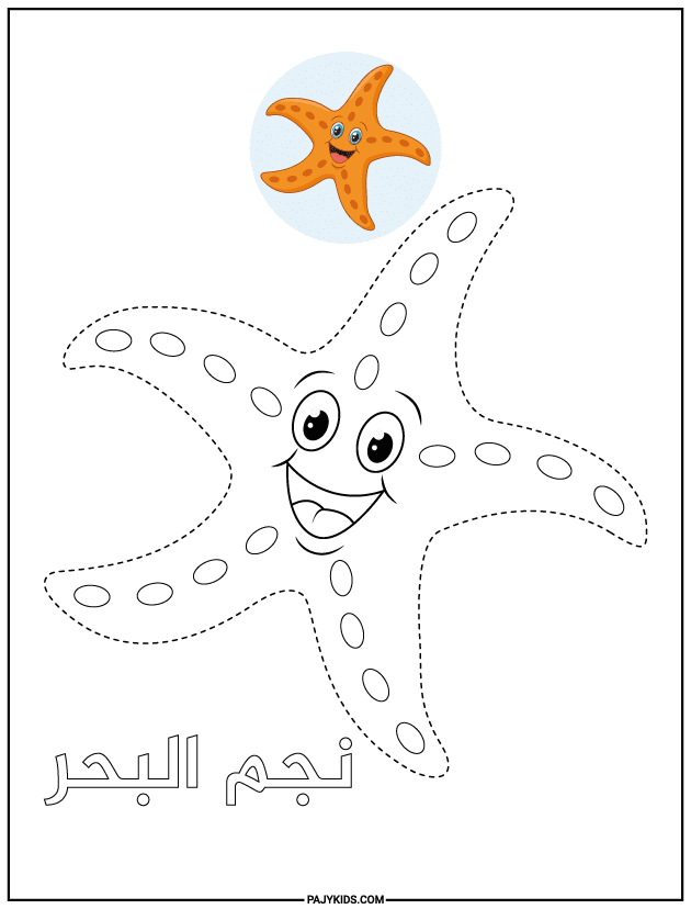 تنمية مهارات - ورقة عمل تتبع نجم البحر