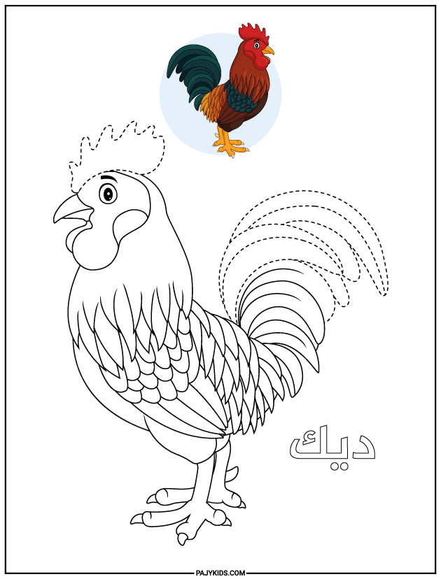 مهارة الطفل - ورقة عمل تتبع الديك