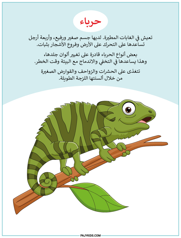 نشاطات اطفال - ورقة عمل التعرف على الحرباء