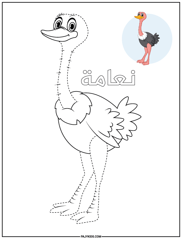 arabic activity sheets - Tracing the Ostrich