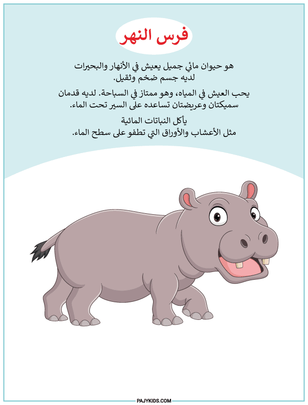 arabic activity worksheets - Learning About the Hippopotamus