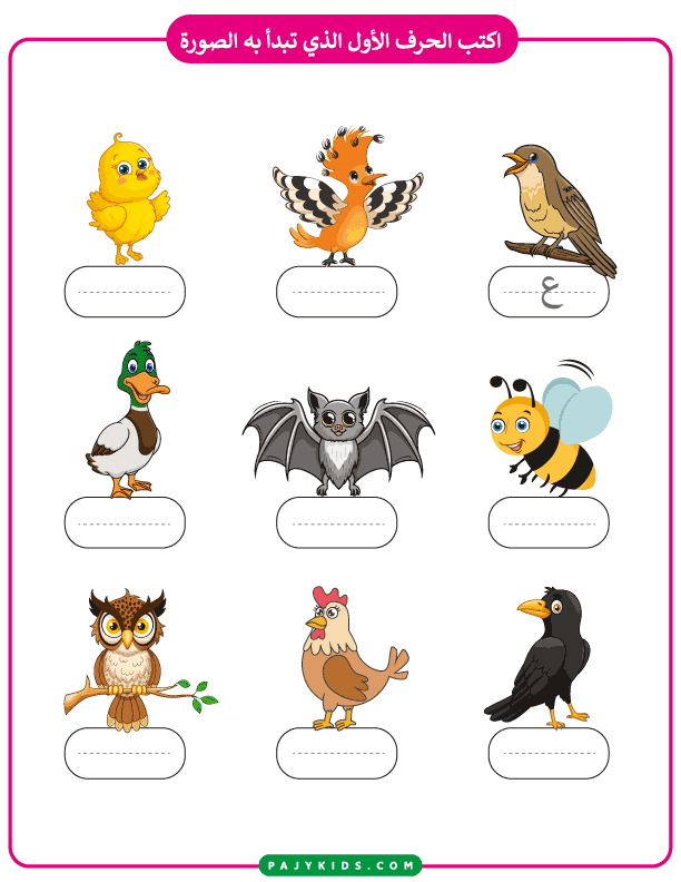 arabic alphabet worksheet - Identifying the First Letter Through Bird Pictures