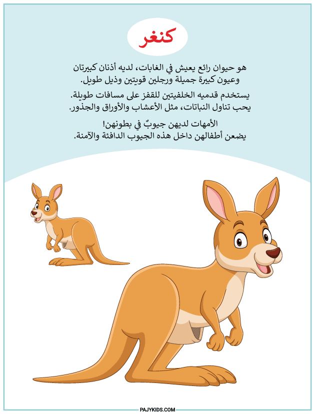 arabic beginner worksheets - The Kangaroo – تعرف على الكنغر