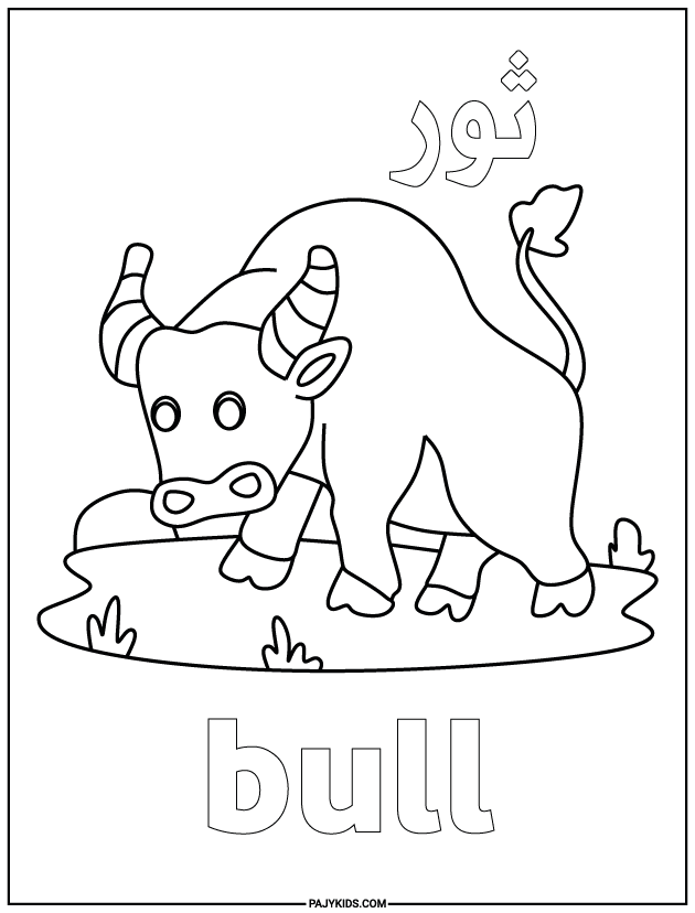 arabic coloring - Bull - Environmental Awareness and Concept Learning