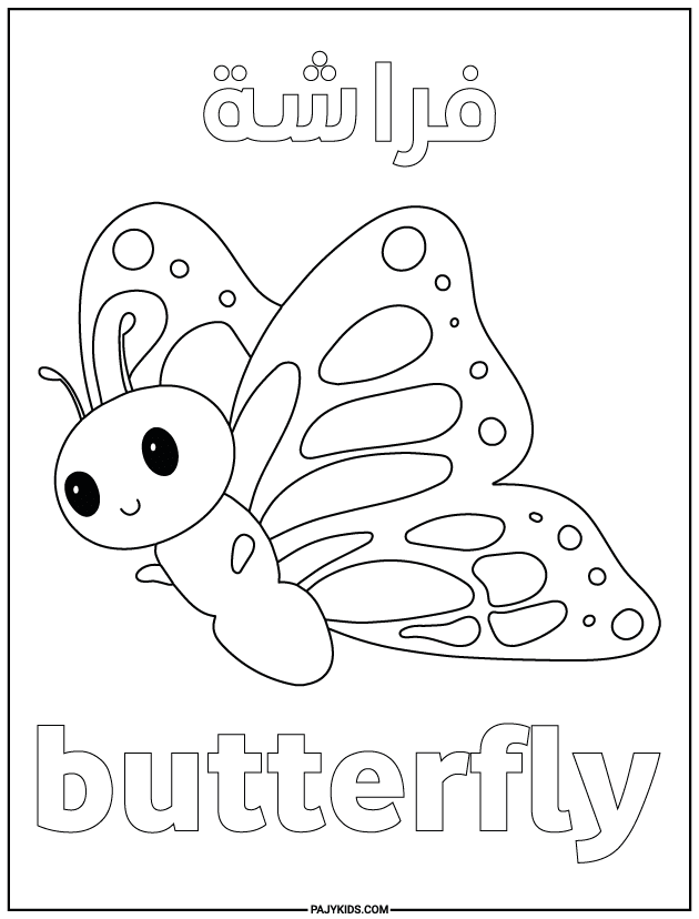 arabic coloring - Butterfly - Visual Discrimination and Symmetry