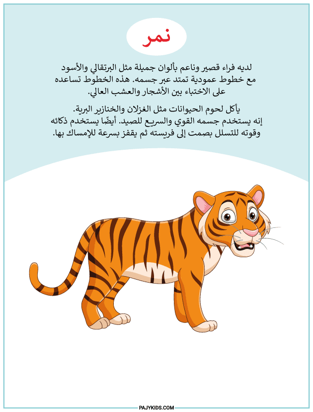 arabic printables - Tiger Worksheet – Discovering Wild Animals