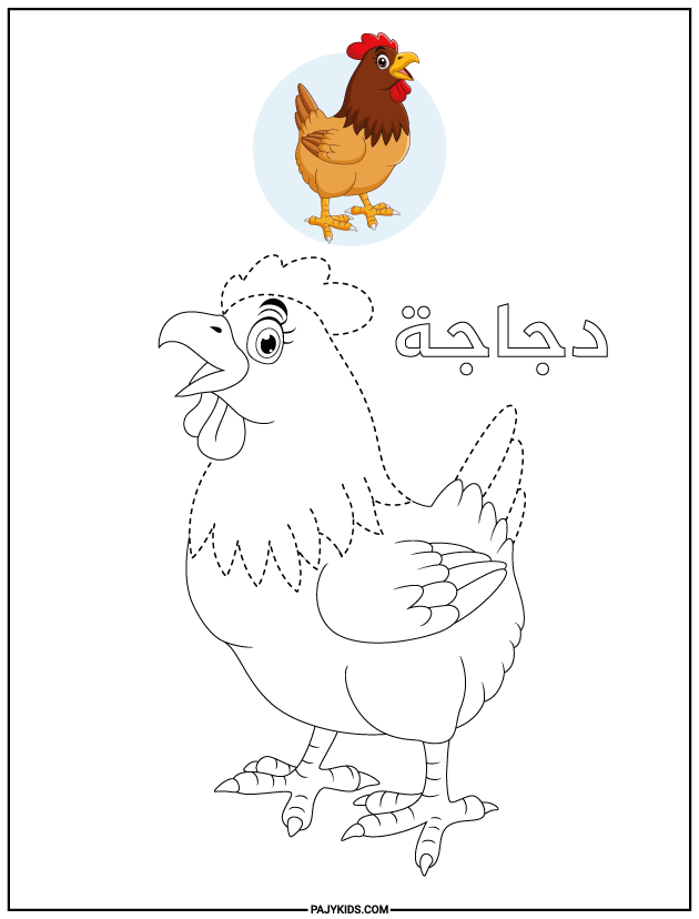 arabic tracing worksheets - Tracing the Chicken (دجاجة)