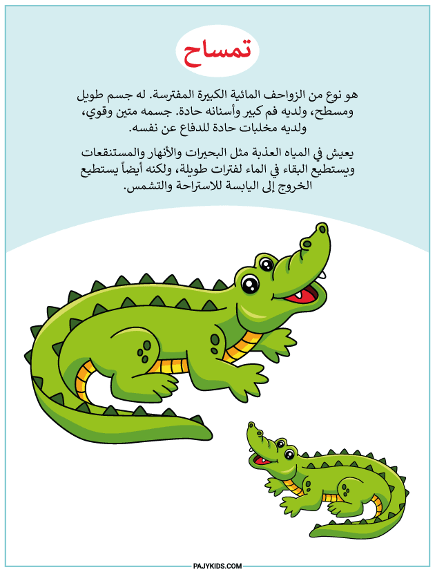 arabic work sheet - Discovering the Crocodile