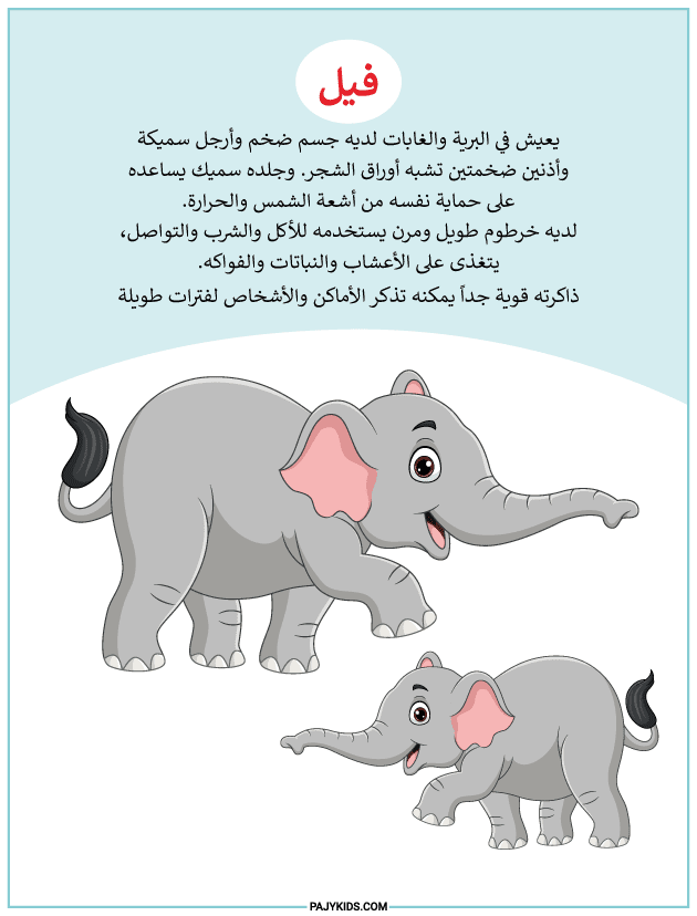 arabic work sheet - Learning About the Elephant