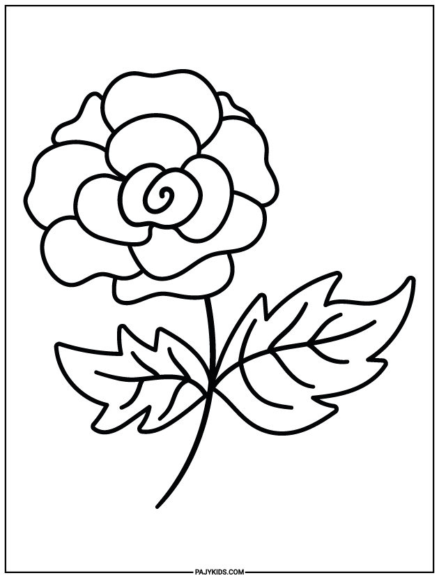 coloring for preschool - Single Flower and Shape Simplicity